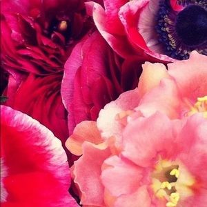 Meet your Posher, Sam